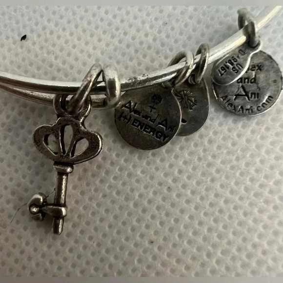 Alex and Ani | Skeleton Key charm bracelet. - Picture 11 of 12